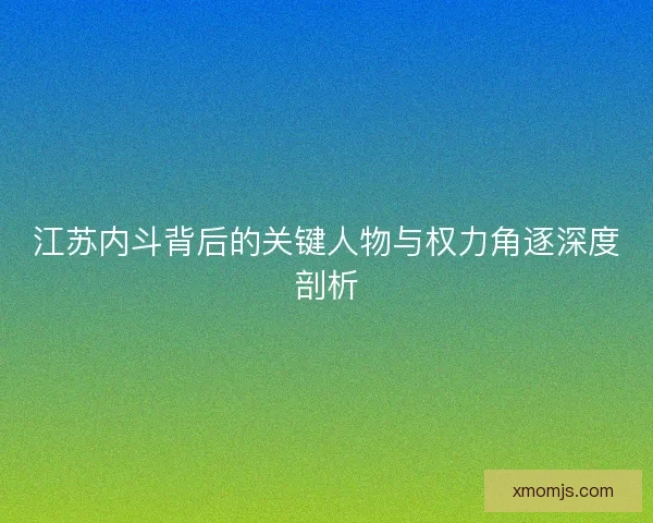 江苏内斗背后的关键人物与权力角逐深度剖析